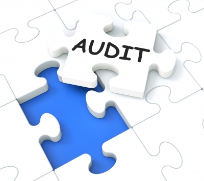 Frequently Asked Questions about Audits