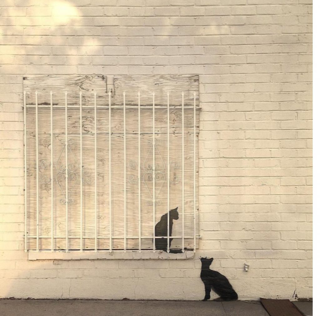 Quick Release Bars and Insurance Business Insurance Coverage